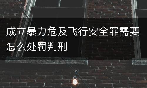 成立暴力危及飞行安全罪需要怎么处罚判刑
