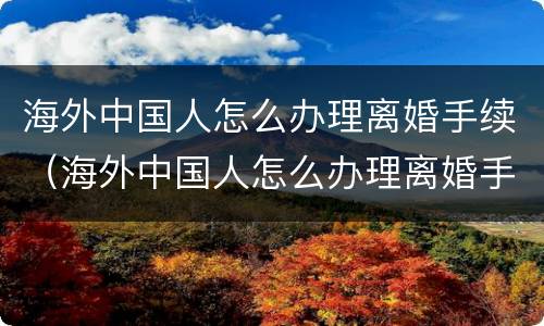 海外中国人怎么办理离婚手续（海外中国人怎么办理离婚手续流程）
