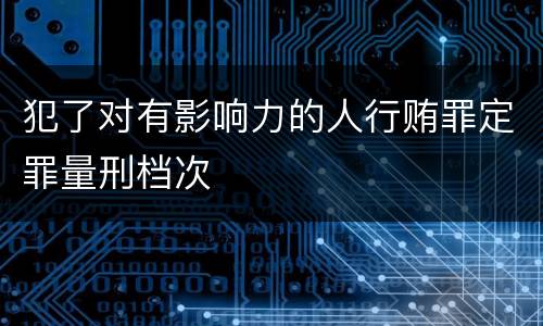 犯了对有影响力的人行贿罪定罪量刑档次
