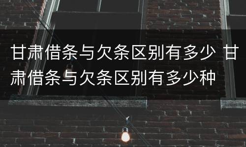 甘肃借条与欠条区别有多少 甘肃借条与欠条区别有多少种