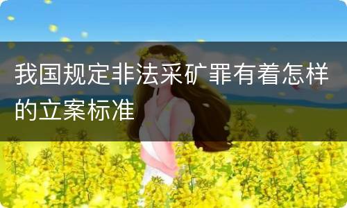 我国规定非法采矿罪有着怎样的立案标准