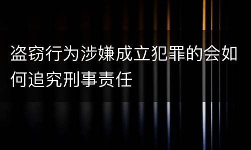 盗窃行为涉嫌成立犯罪的会如何追究刑事责任