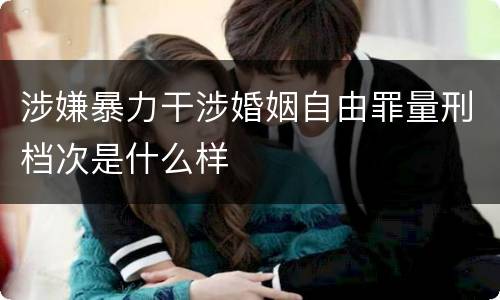 涉嫌暴力干涉婚姻自由罪量刑档次是什么样
