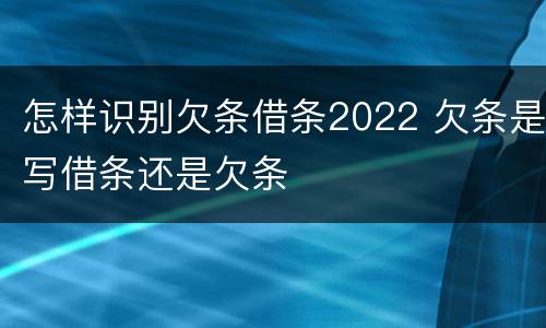 怎样识别欠条借条2022 欠条是写借条还是欠条