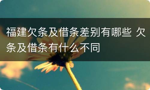 福建欠条及借条差别有哪些 欠条及借条有什么不同