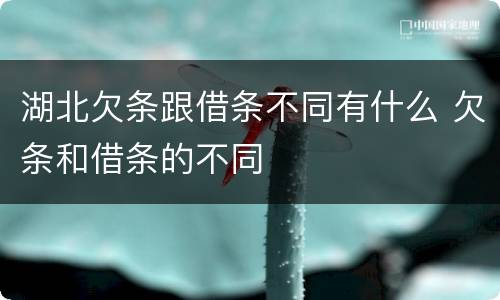 湖北欠条跟借条不同有什么 欠条和借条的不同