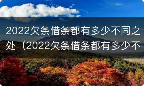 2022欠条借条都有多少不同之处（2022欠条借条都有多少不同之处呢）
