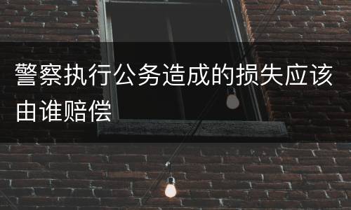 警察执行公务造成的损失应该由谁赔偿