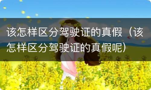 该怎样区分驾驶证的真假（该怎样区分驾驶证的真假呢）