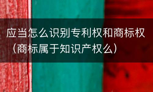 应当怎么识别专利权和商标权（商标属于知识产权么）