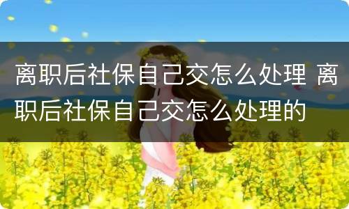 离职后社保自己交怎么处理 离职后社保自己交怎么处理的
