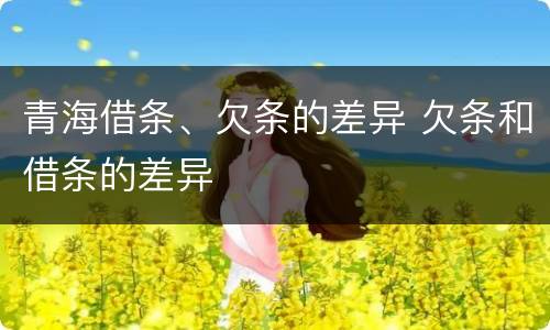 青海借条、欠条的差异 欠条和借条的差异