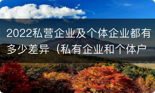 2022私营企业及个体企业都有多少差异（私有企业和个体户一样吗）