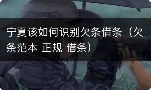 宁夏该如何识别欠条借条（欠条范本 正规 借条）