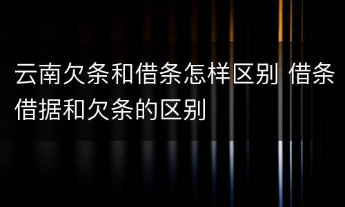 云南欠条和借条怎样区别 借条借据和欠条的区别
