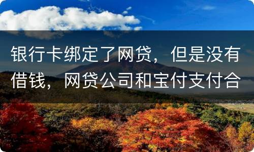 银行卡绑定了网贷，但是没有借钱，网贷公司和宝付支付合作的，会不会扣银行卡钱