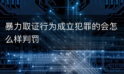 暴力取证行为成立犯罪的会怎么样判罚