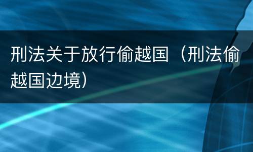 刑法关于放行偷越国（刑法偷越国边境）