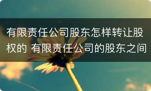 有限责任公司股东怎样转让股权的 有限责任公司的股东之间转让全部股权