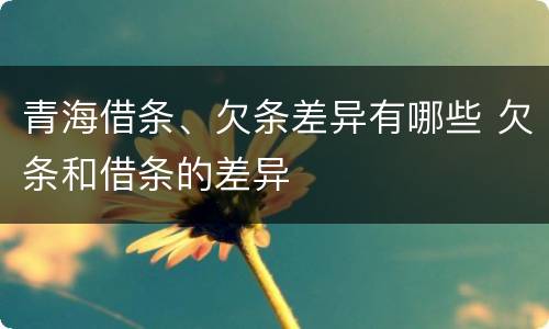 青海借条、欠条差异有哪些 欠条和借条的差异