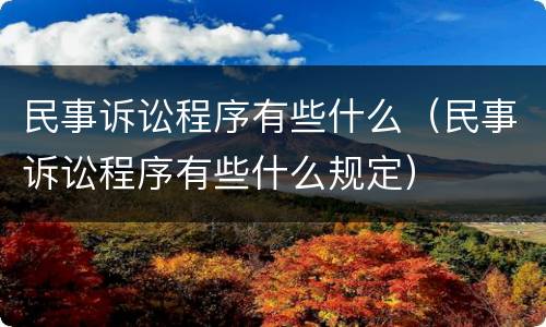 民事诉讼程序有些什么（民事诉讼程序有些什么规定）