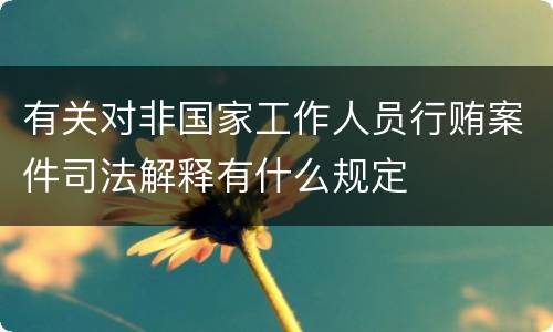 有关对非国家工作人员行贿案件司法解释有什么规定