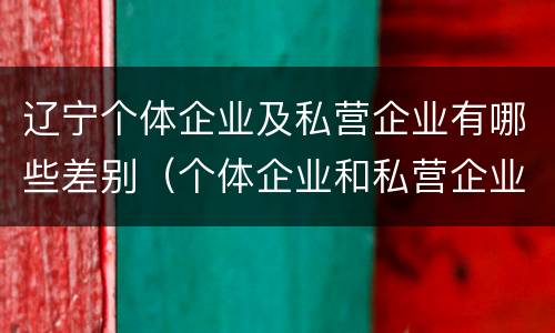 辽宁个体企业及私营企业有哪些差别（个体企业和私营企业的区别）