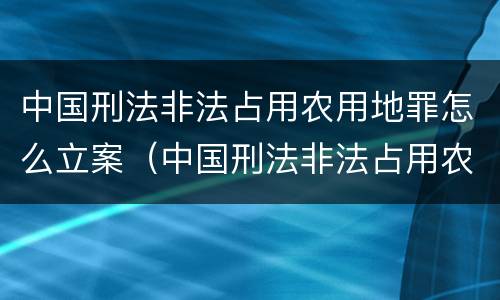 中国刑法非法占用农用地罪怎么立案（中国刑法非法占用农用地罪怎么立案的）