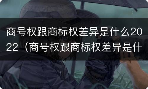商号权跟商标权差异是什么2022（商号权跟商标权差异是什么2022年的）
