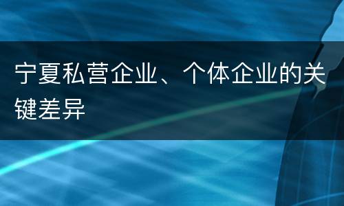 宁夏私营企业、个体企业的关键差异