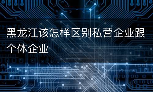 黑龙江该怎样区别私营企业跟个体企业