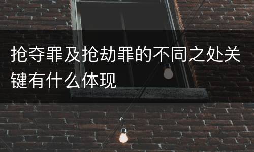 抢夺罪及抢劫罪的不同之处关键有什么体现