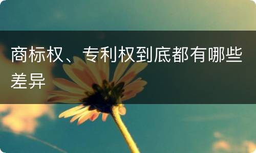 商标权、专利权到底都有哪些差异