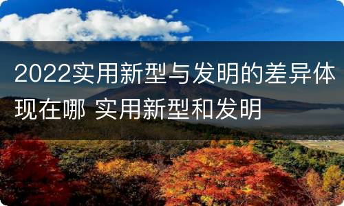 2022实用新型与发明的差异体现在哪 实用新型和发明