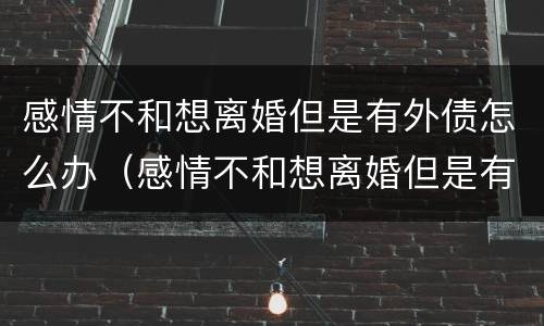 感情不和想离婚但是有外债怎么办（感情不和想离婚但是有外债怎么办呀）