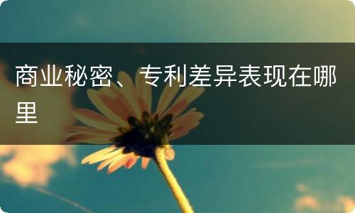 商业秘密、专利差异表现在哪里