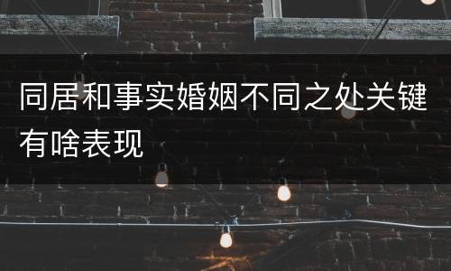 同居和事实婚姻不同之处关键有啥表现