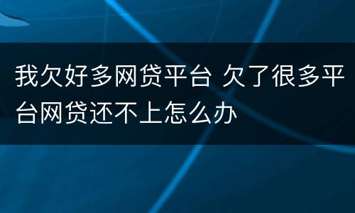我欠好多网贷平台 欠了很多平台网贷还不上怎么办