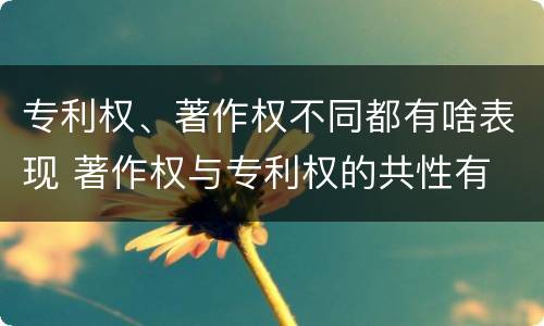 专利权、著作权不同都有啥表现 著作权与专利权的共性有