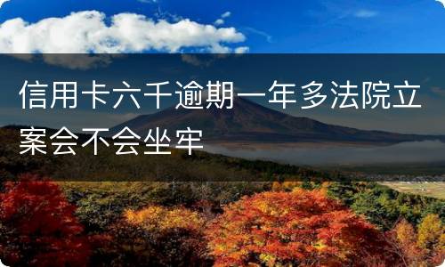 信用卡六千逾期一年多法院立案会不会坐牢