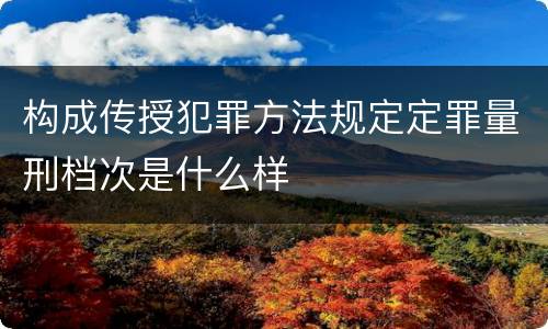 构成传授犯罪方法规定定罪量刑档次是什么样