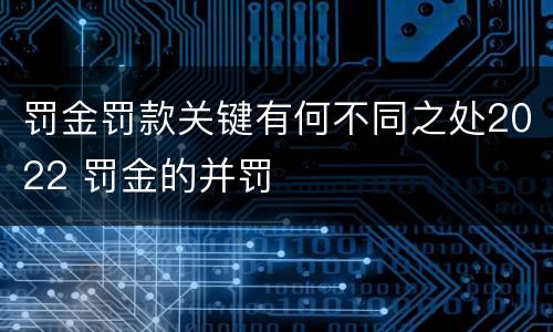 罚金罚款关键有何不同之处2022 罚金的并罚