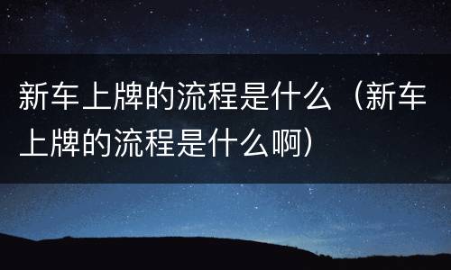 新车上牌的流程是什么（新车上牌的流程是什么啊）