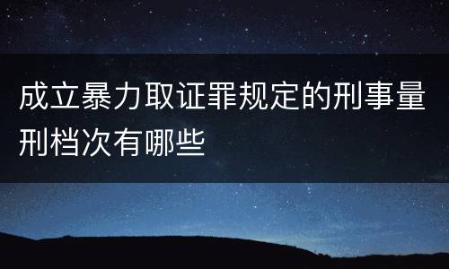 成立暴力取证罪规定的刑事量刑档次有哪些