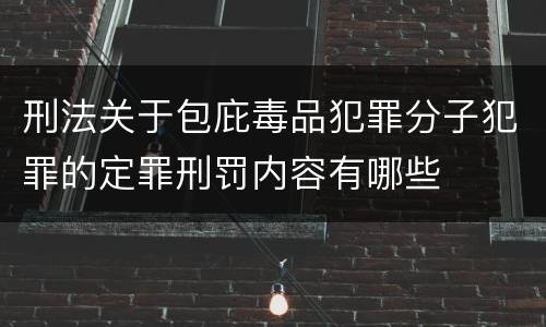 刑法关于包庇毒品犯罪分子犯罪的定罪刑罚内容有哪些
