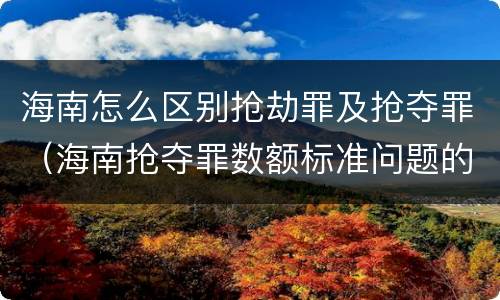 海南怎么区别抢劫罪及抢夺罪（海南抢夺罪数额标准问题的规定）