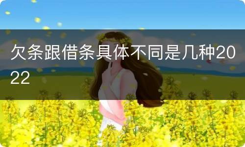 欠条跟借条具体不同是几种2022