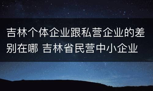 吉林个体企业跟私营企业的差别在哪 吉林省民营中小企业