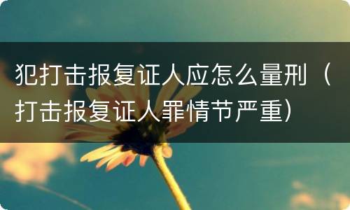 犯打击报复证人应怎么量刑（打击报复证人罪情节严重）