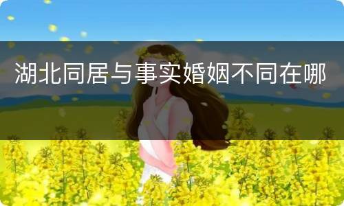 湖北同居与事实婚姻不同在哪